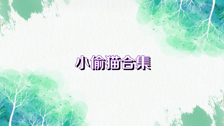 小偷猫合集