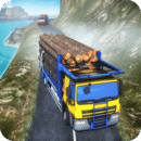 Heavy Truck Driver Cargo