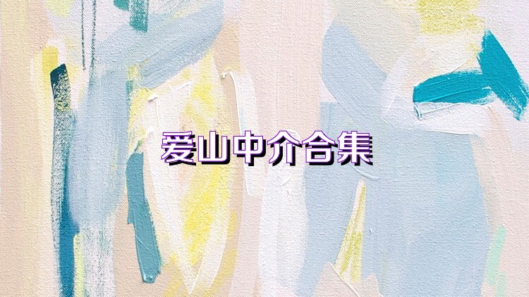 爱山中介合集