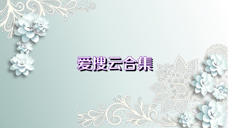 爱搜云合集