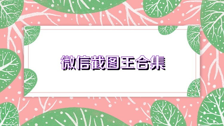 微信截图王合集