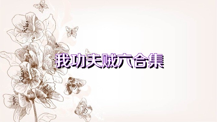 我功夫贼六合集