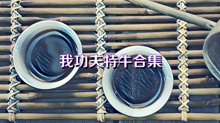 我功夫特牛合集