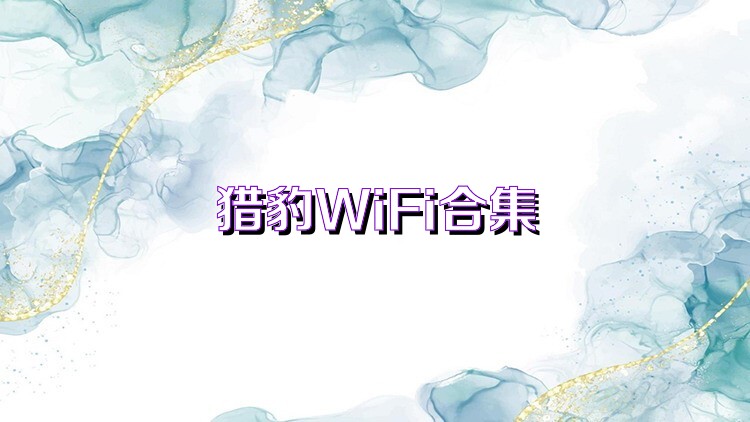 猎豹WiFi合集