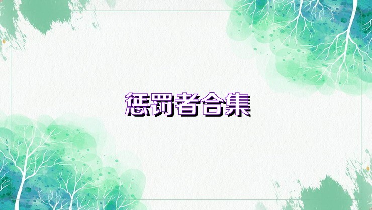 惩罚者合集