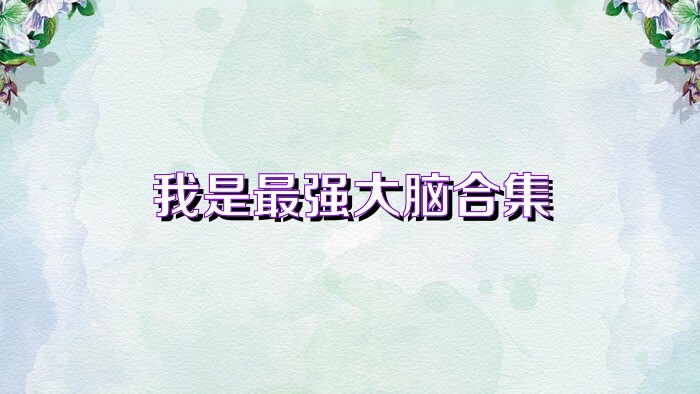 我是最强大脑合集