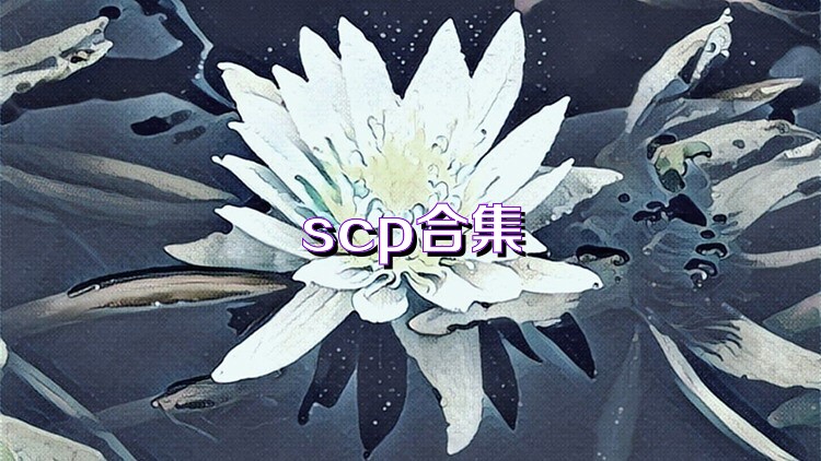 scp合集