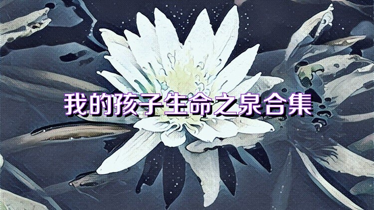 我的孩子生命之泉合集