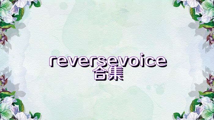 reversevoice合集