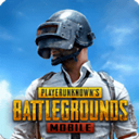 PUBGM暗影前线