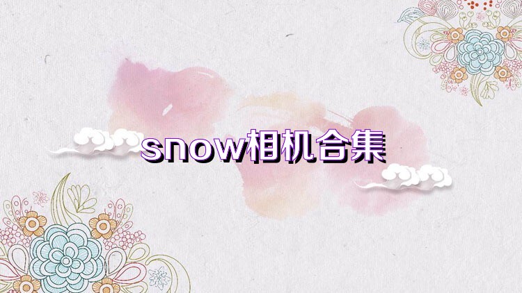 snow相机合集