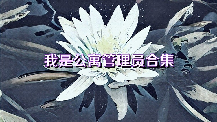 我是公寓管理员合集