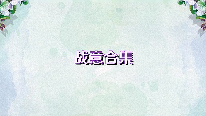 战意合集