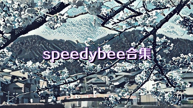 speedybee合集