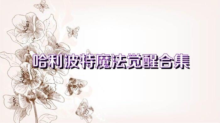哈利波特魔法觉醒合集