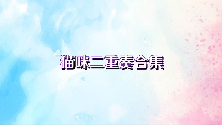 猫咪二重奏合集