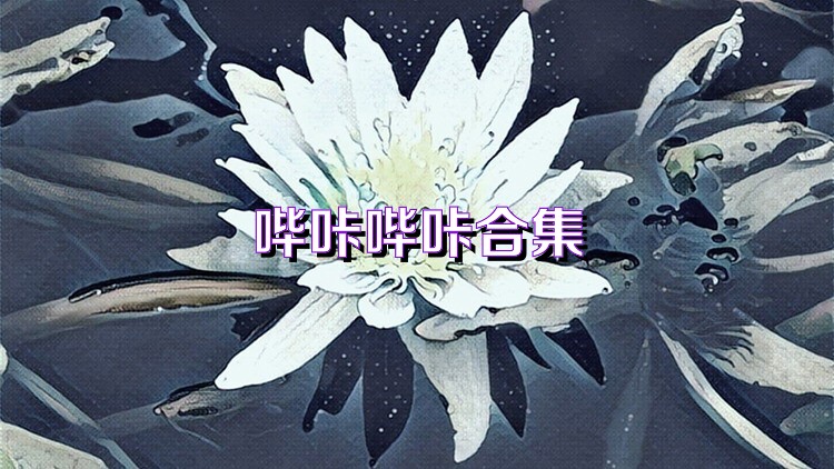 哔咔哔咔合集