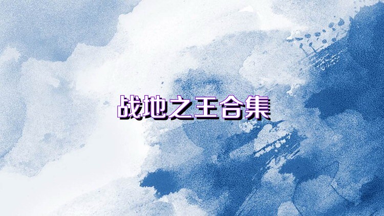 战地之王合集