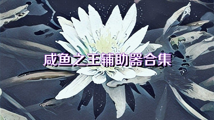 咸鱼之王辅助器合集