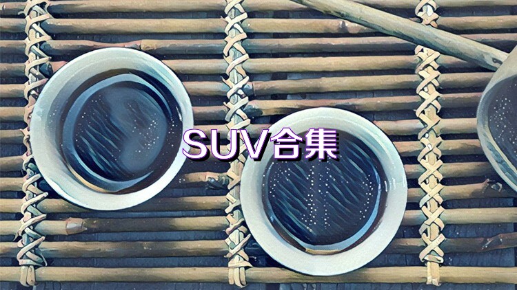 SUV合集