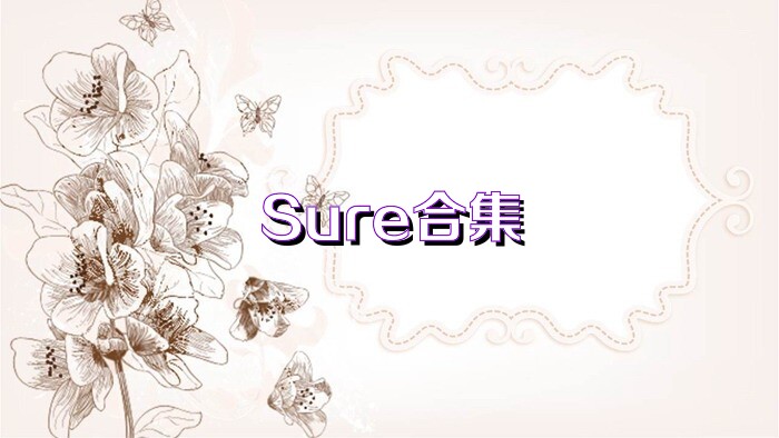 Sure合集