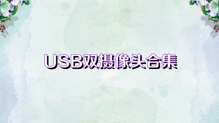 USB双摄像头合集