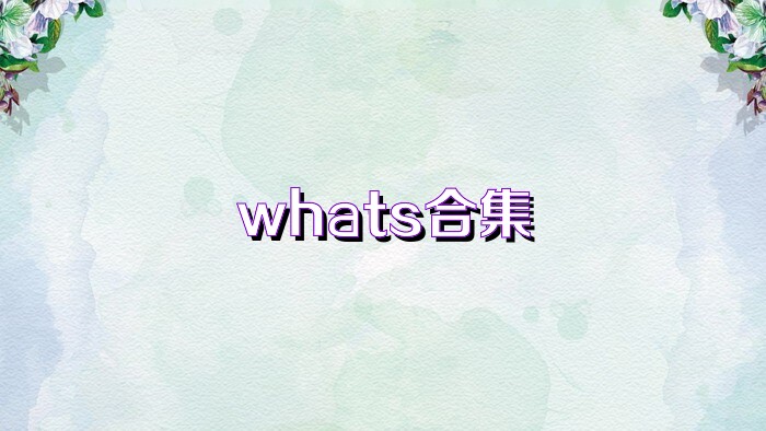 whats合集