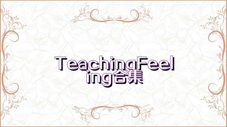 TeachingFeeling合集