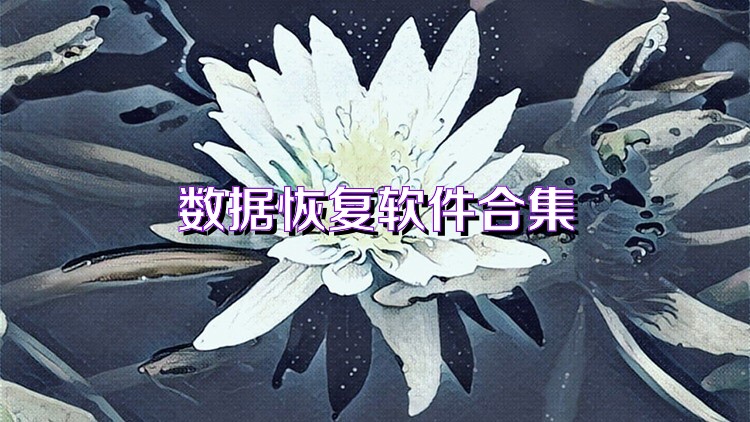 数据恢复软件合集