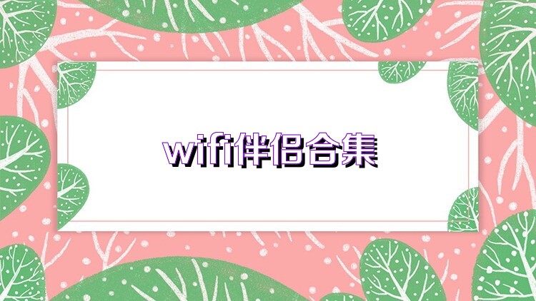 wifi伴侣合集