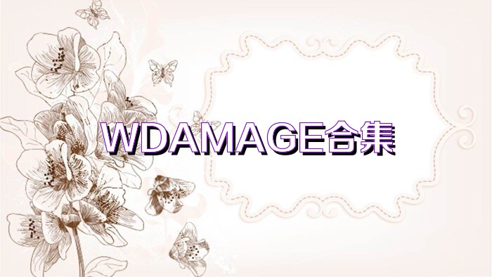 WDAMAGE合集