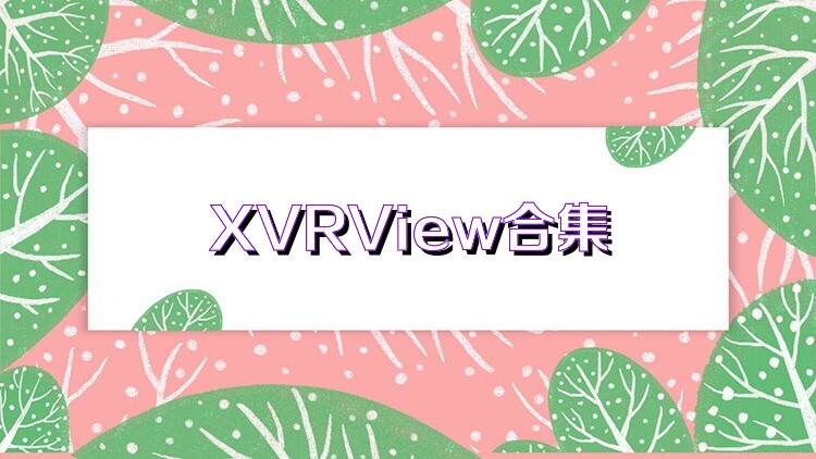 XVRView合集