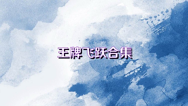 王牌飞跃合集