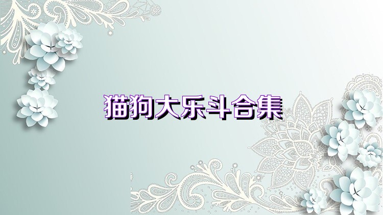 猫狗大乐斗合集