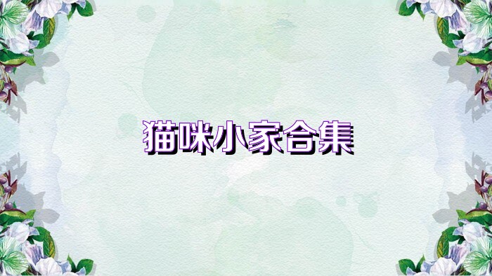 猫咪小家合集