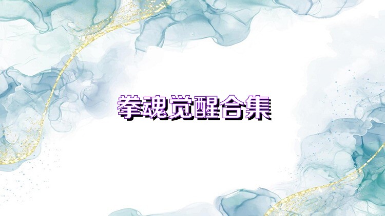 拳魂觉醒合集
