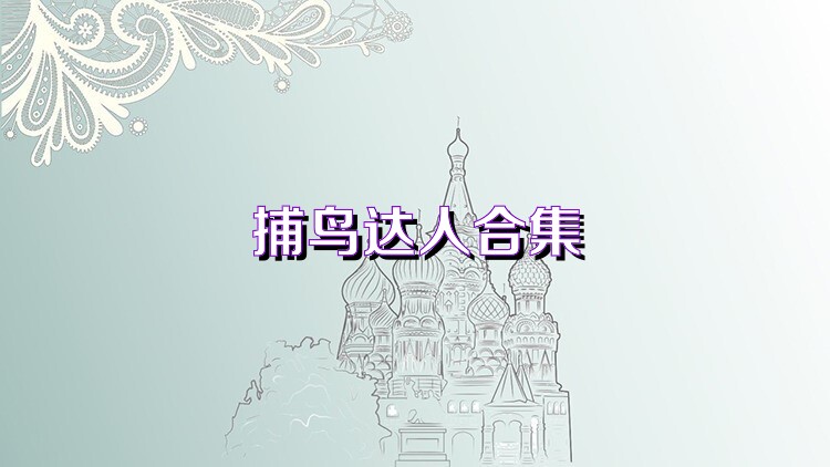 捕鸟达人合集