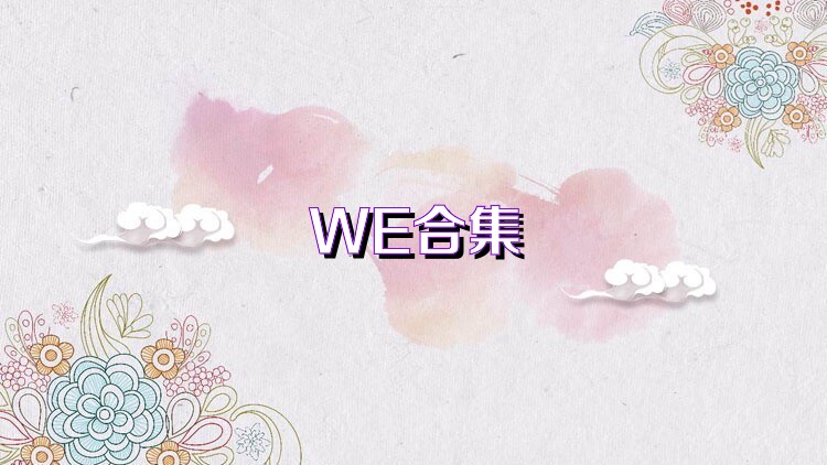 WE合集