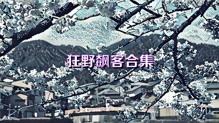 狂野飙客合集