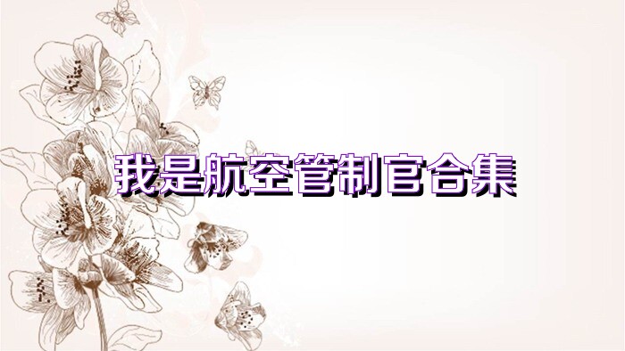 我是航空管制官合集