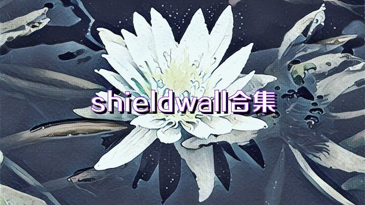 shieldwall合集