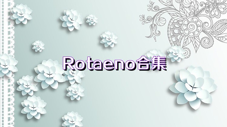 Rotaeno合集