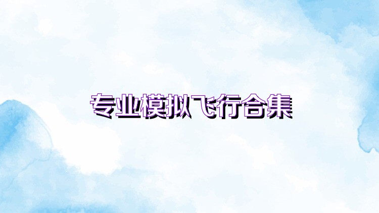 专业模拟飞行合集