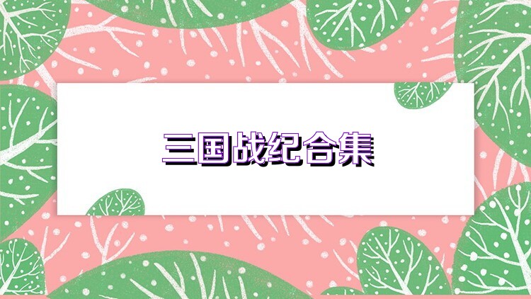 三国战纪合集