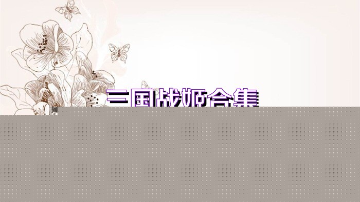三国战姬合集
