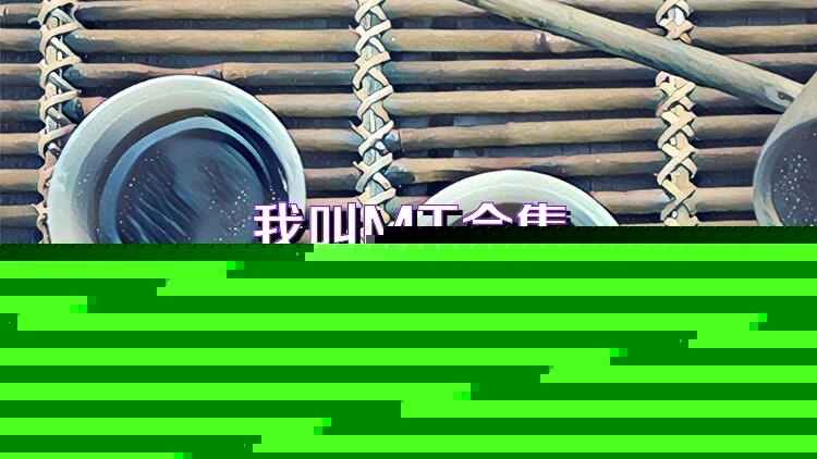 我叫MT合集