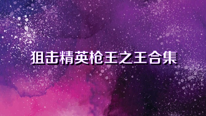 狙击精英枪王之王合集