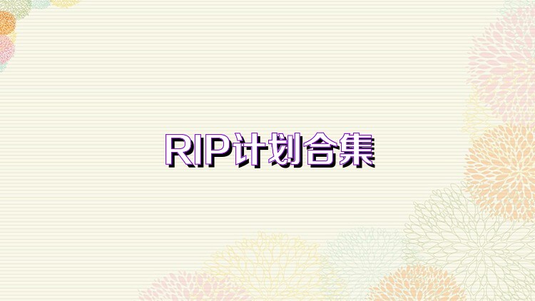 RIP计划合集