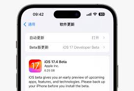 如何在iOS17.4Beta1上调整Siri的语音选项