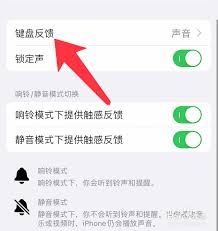 iPhone键盘触感设置